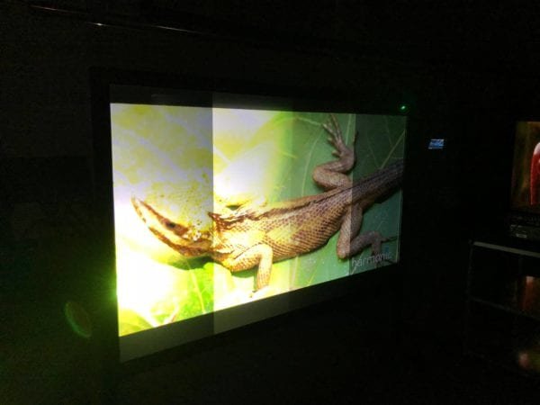Digital Projection demonstrating Zhongchen Electronics screens at Experience Centre Dubai